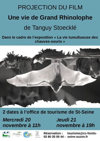 The Life of a Greater Horseshoe Bat (2014) poster