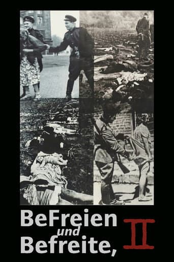 Liberators Take Liberties, part 2 (1992) poster