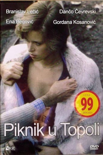 Picnic in Topola (1981) poster