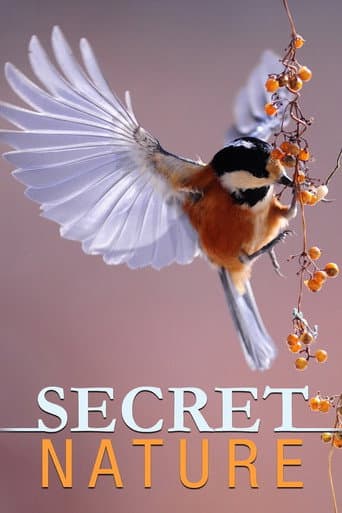 Secret Nature (2004) poster