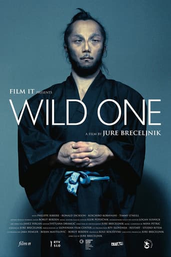 Wild One (2012) poster