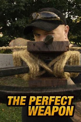 Perfect Weapon (2008) poster