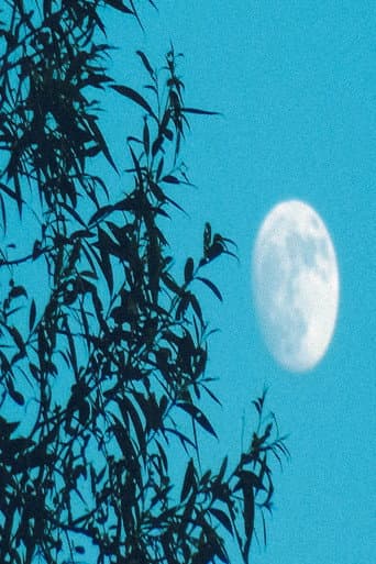 Moongazer's Moonlight Reverie (2024) poster