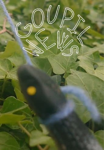 Goupil News (2025) poster