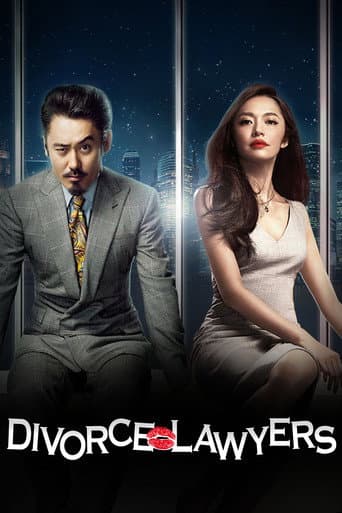 Divorce Lawyers (2014) poster