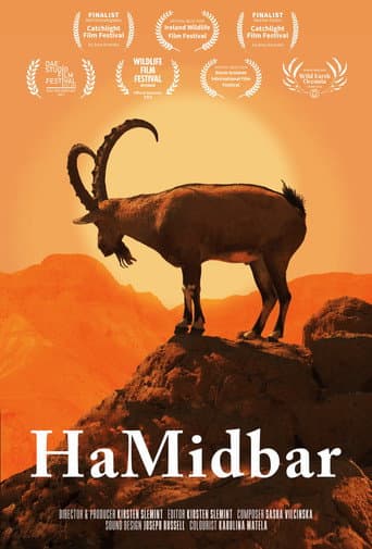 HaMidbar (2023) poster