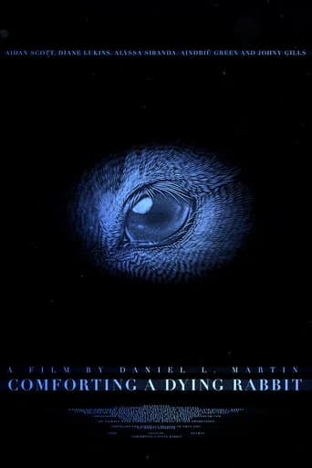 Comforting A Dying Rabbit (2024) poster