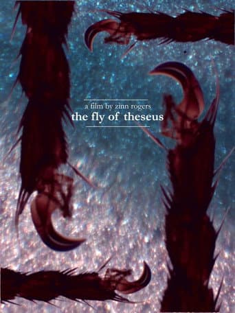 The Fly of Theseus (2026) poster