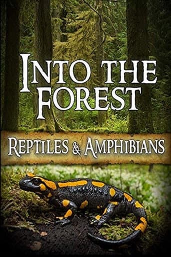 Into the Forest: Reptiles & Amphibians (2019) poster