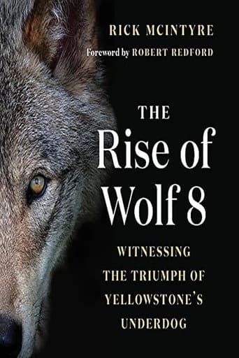 The Alpha Wolves of Yellowstone poster