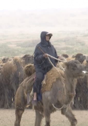 The Disappearing Camel Caravan (2017) poster