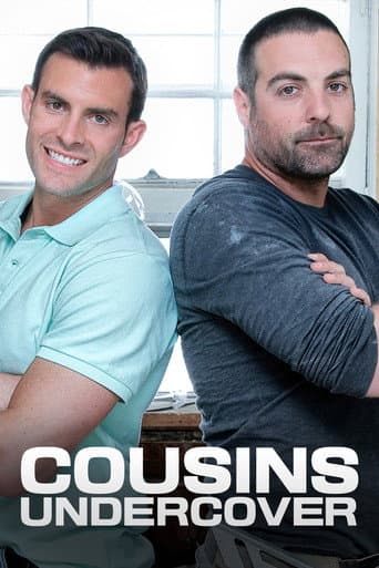 Cousins Undercover (2013) poster