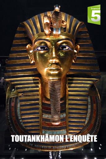 Tutankhamun: The Mystery of the Burnt Mummy (2013) poster