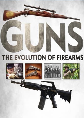 Guns: The Evolution of Firearms (2013) poster