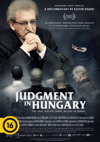 Judgement in Hungary (2013) poster