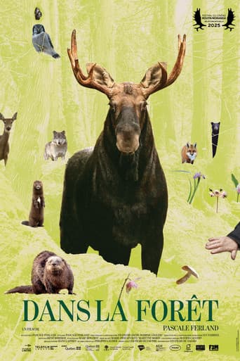 In the Forest (2025) poster