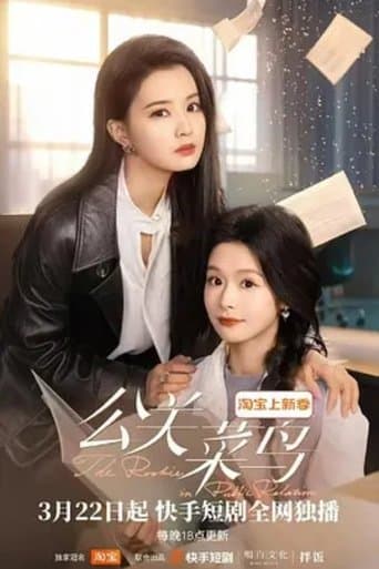 The Rookie in Public Relations (2025) poster