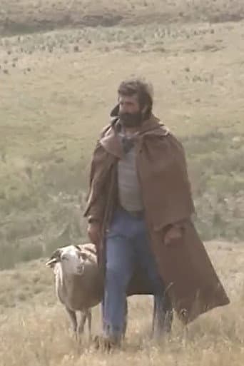 Shepherd and beyond (1994) poster