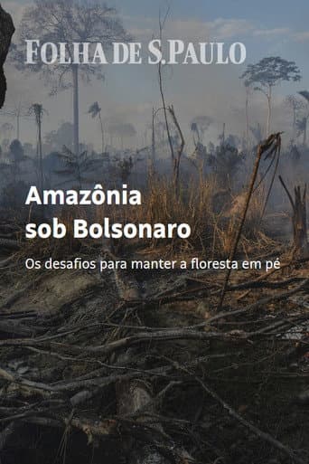 Amazon Under Bolsonaro (2020) poster