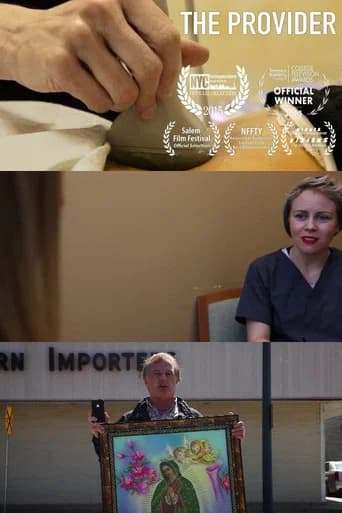 The Provider (2015) poster