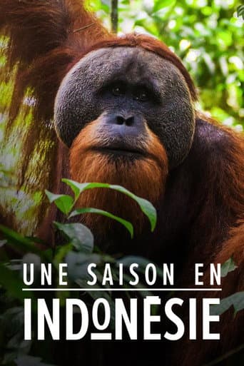 Une saison en Indonésie (2019) poster