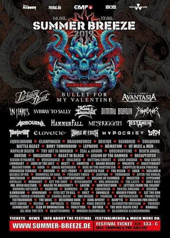 Subway To Sally: Live at Summer Breeze 2019 (2019) poster