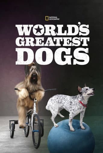 World's Greatest Dogs (2015) poster