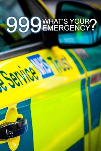 999: What's Your Emergency? (2012) poster