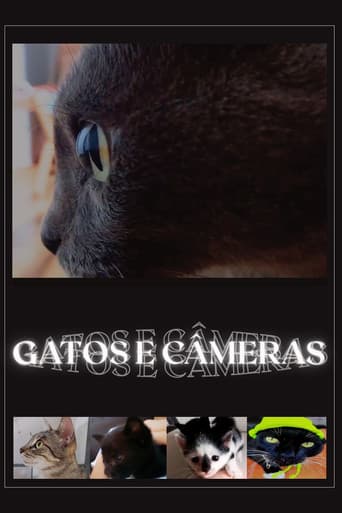 Cats and Cameras (2026) poster