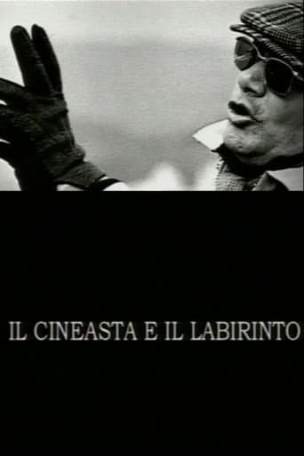 The Filmmaker and the Labyrinth (2004) poster