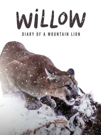 Willow: Diary of a Mountain Lion (2025) poster