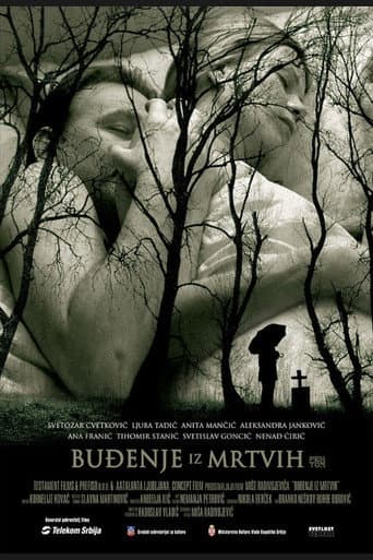 Awakening from the Dead (2005) poster