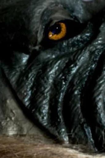 The Werewolf of Chatsford (2018) poster