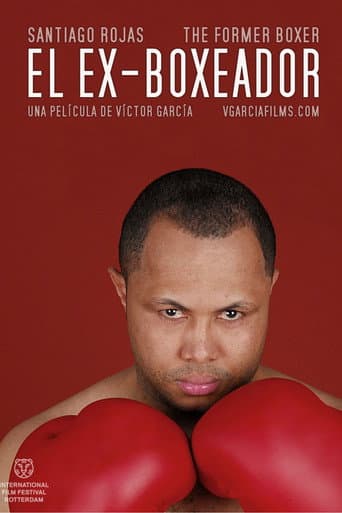 The Former Boxer (2010) poster