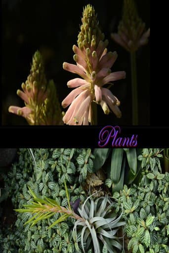 Plants (2026) poster