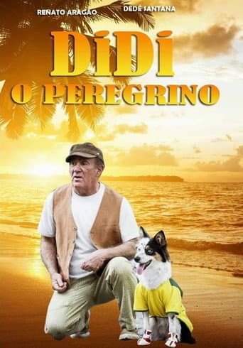 Didi the Pilgrim (2013) poster