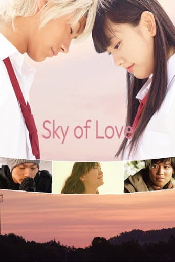 Sky of Love (2007) poster
