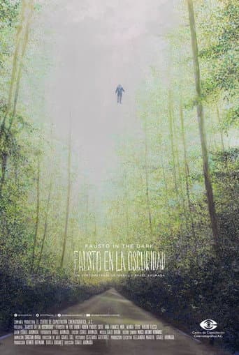 Fausto in the Dark (2017) poster