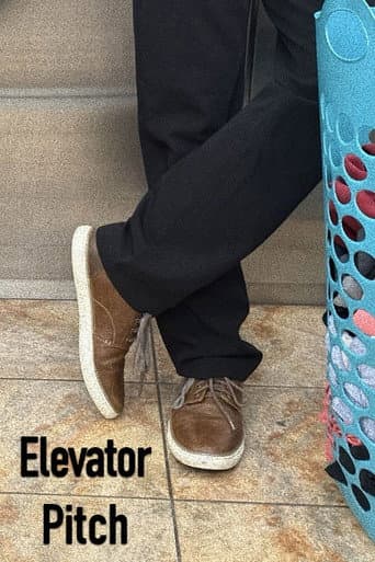 Elevator Pitch (2025) poster
