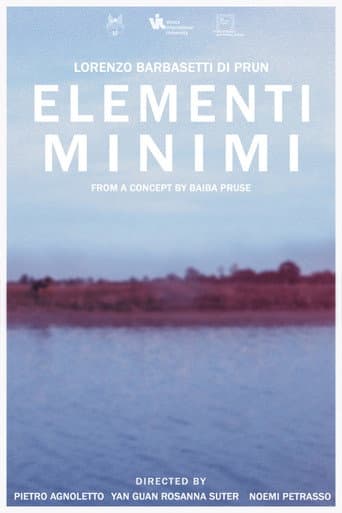 Basic Elements (2021) poster