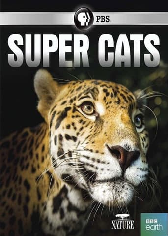 Super Cats (2018) poster