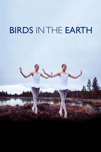 Birds in the Earth (2018) poster