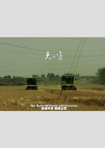 Wheat Passenger (2011) poster