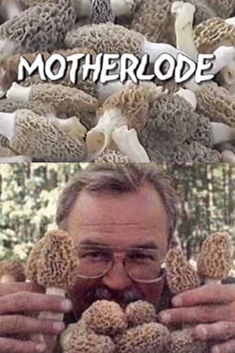 Motherlode (2002) poster