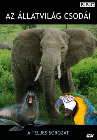 Extraordinary Animals (2008) poster