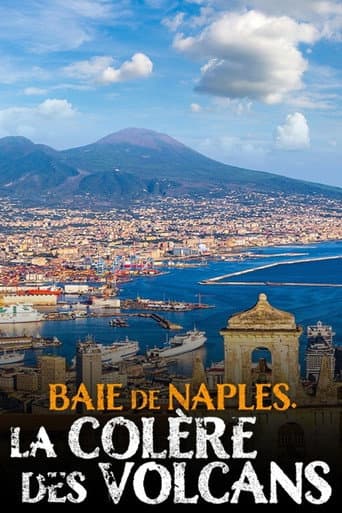 Baie de Naples, la colère des volcans (2020) poster