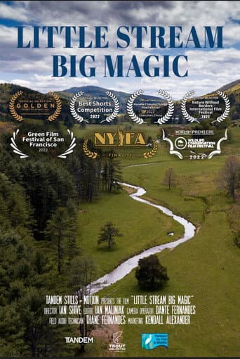 Little Stream, Big Magic (2022) poster