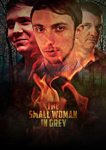 The Small Woman in Grey (2017) poster