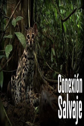 Wild Connection (2011) poster