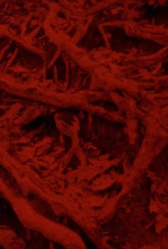 Language of the Entrails (2025) poster